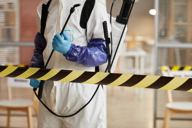 Professional Hoarding Cleanup technician working in Hanson, MA